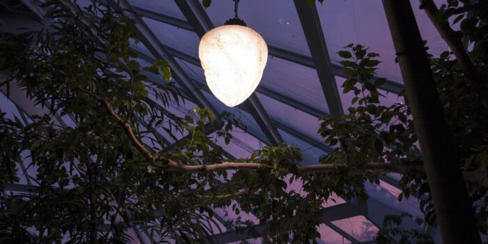 Center Parcs – Heiderbos 2